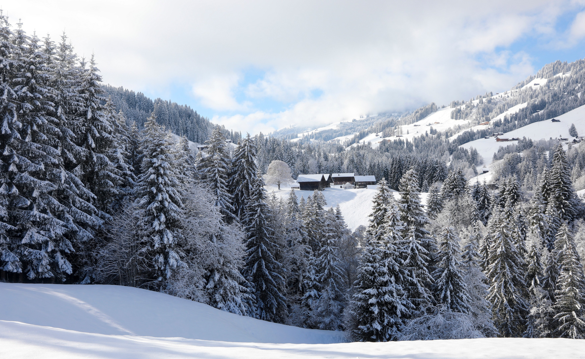 Winterlandschaft bei Gstaad; Detektei Gstaad (Schweiz), Detektiv Gstaad (Schweiz), Privatdetektiv Gstaad (Schweiz), Privatdetektei Gstaad (Schweiz)